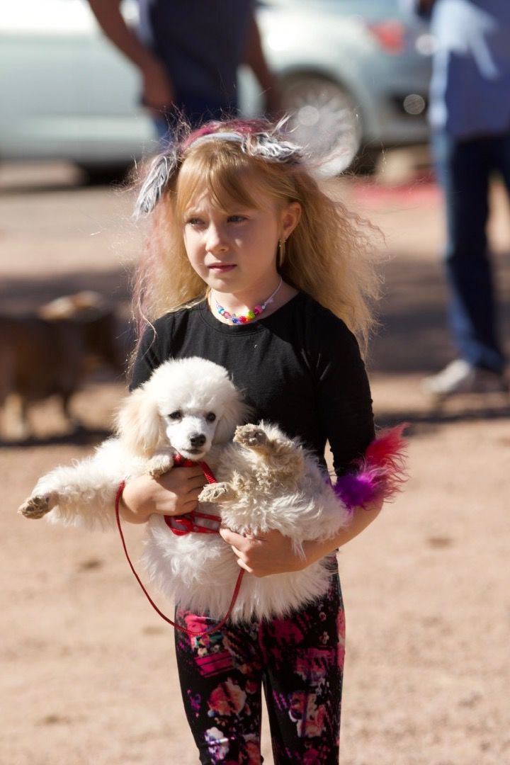 Dog day